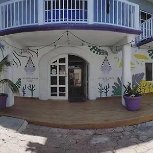 Les Trois Singes - Friendly Hostel Hostel Isla Mujeres