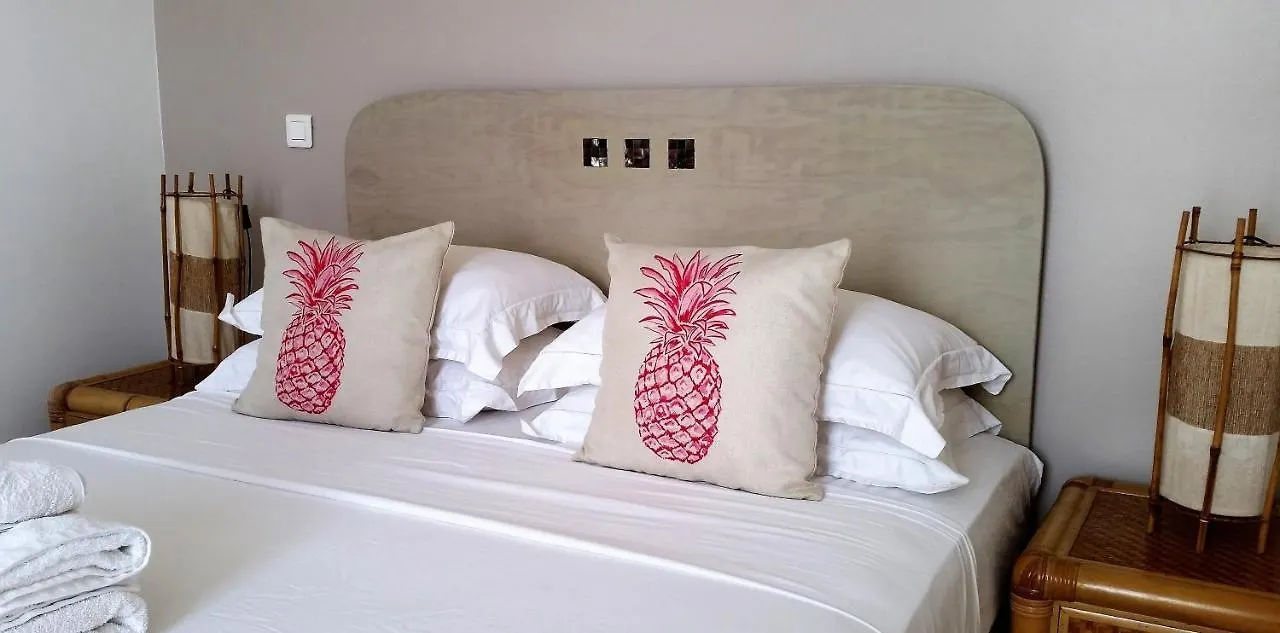 Guest house Fare Suisse Tahiti - Guesthouse Papeete